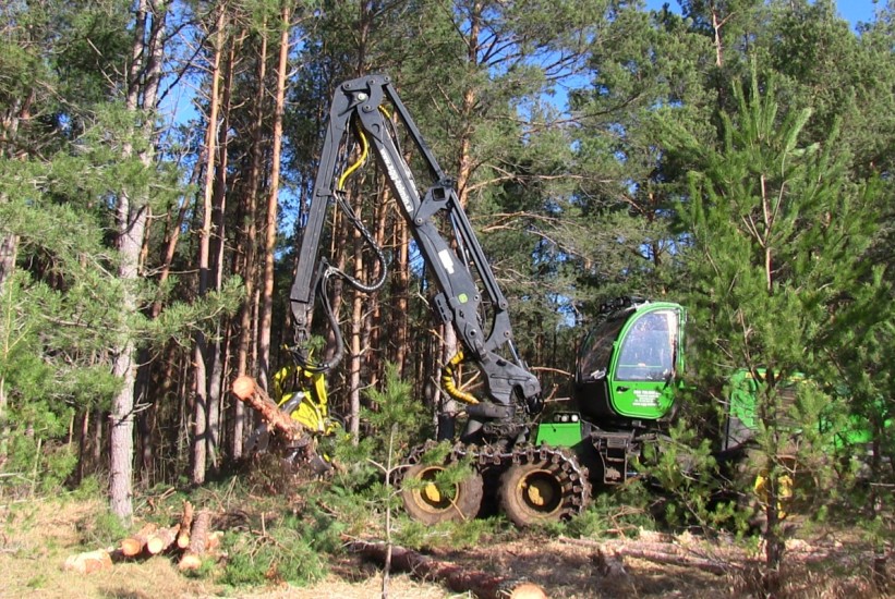 Bivši direktor Unsko-sanskih šuma: Na računima 5,8 miliona KM više nego pri mom dolasku