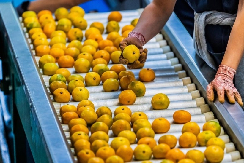 Pojačana kontrola uvoza grožđa, breskvi i mandarina