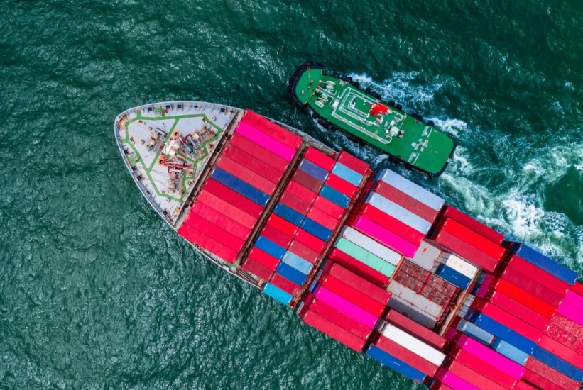 Kina uvodi preliminarne carine na uvoz svinjskog mesa iz EU