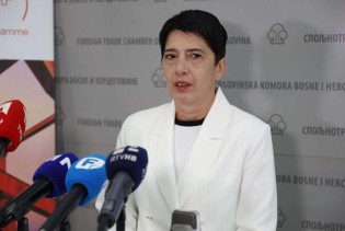 Udar Uredbe EU o CBAM-u na bh. privredu bit će značajan jer pogađa najveće izvoznike