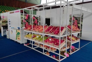 Od 9 do 11. oktobra u Goraždu 21. sajam "Dani jabuke"