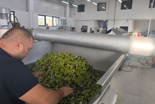 U Neumu otvoreni "Dani berbe maslina u Hercegovini"