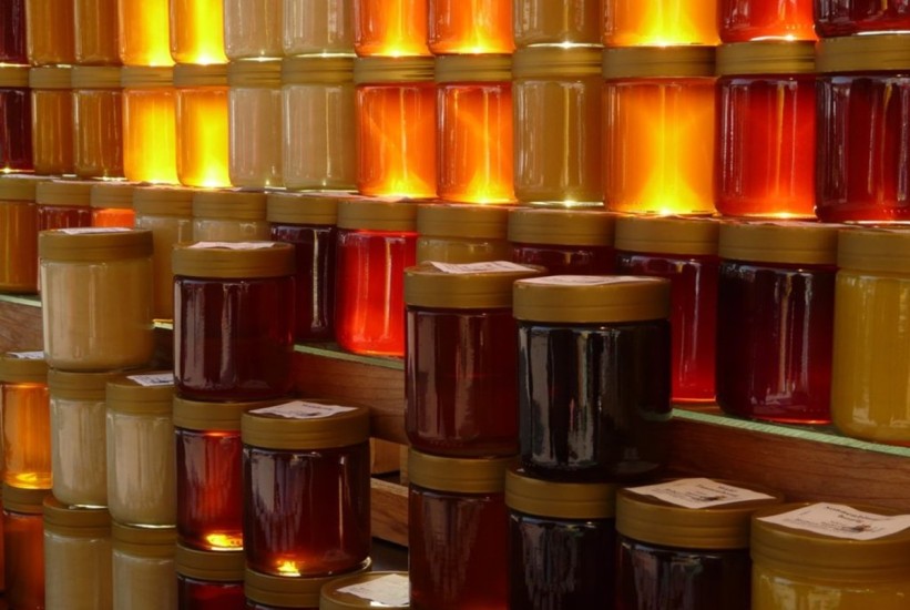 Pčelari u Brčko distriktu zadovoljni prinosom meda