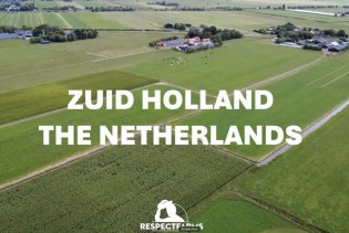 Prva farma kultivisanog mesa u svijetu biće otvorena u Holandiji