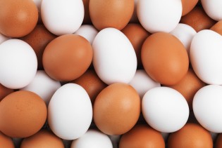 BiH još ne može izvoziti konzumna jaja u EU