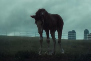 Budweiser kroz Super Bowl kampanju slavi 150 godina naslijeđa