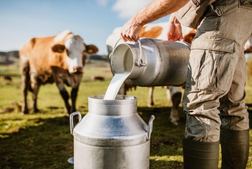 Poljoprivrednici upozoravaju: Pad cijena mlijeka prijeti gašenjem farmi