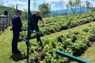 Ministar Alijanović obišao proizvođače u Bihaću: Rast troškova ugrožava proizvodnju šampinjona
