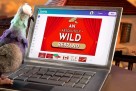 Canva napravila kampanju bez vještačke inteligencije usred tehnološke revolucije