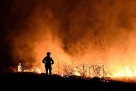 Požari u Evropi već izazvali štetu veću od tri milijarde eura