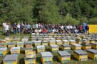 Zbog klimatskih promjena sve više izazova za pčelare